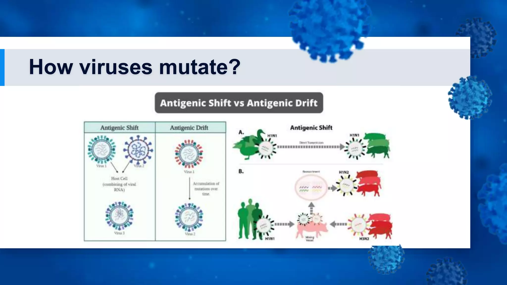 How viruses mutate?
 