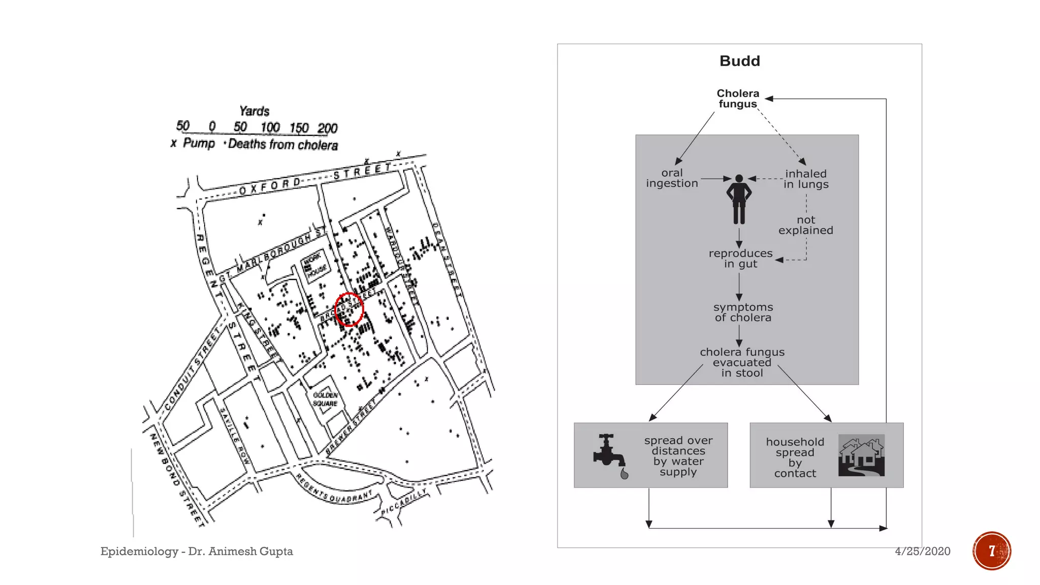 4/25/2020Epidemiology - Dr. Animesh Gupta 7
 