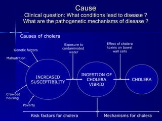 Cause Clinical question: What conditions lead to disease ? What are the pathogenetic mechanisms of disease ? INCREASED SUSCEPTIBILITY INGESTION OF CHOLERA VIBRIO CHOLERA Causes of cholera Exposure to contaminated  water Effect of cholera toxins on bowel wall cells Genetic factors Malnutrition Crowded  housing Poverty Risk factors for cholera  Mechanisms for cholera 