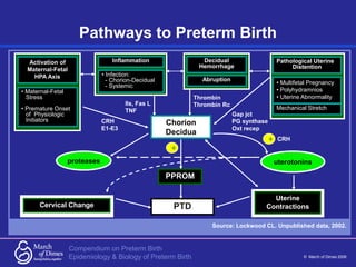 Compendium on Preterm Birth
© March of Dimes 2006
Epidemiology & Biology of Preterm Birth
Pathways to Preterm Birth
Source...