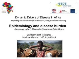 Dynamic Drivers of Disease in Africa Integrating our understandings of zoonoses, ecosystems and wellbeing 
Epidemiology and disease burden 
Johanna Lindahl, Alexandra Shaw and Delia Grace 
EcoHealth 2014 conference Montreal, Canada, 11-15 August 2014  