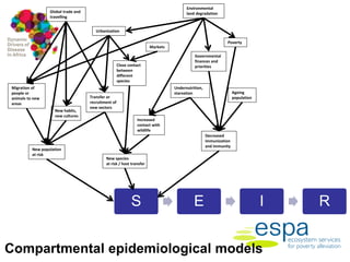 Dynamic drivers of disease in Africa: Epidemiology and disease burden