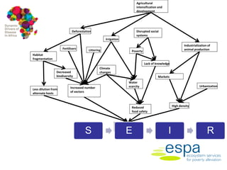 Dynamic drivers of disease in Africa: Epidemiology and disease burden