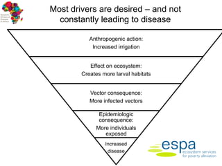 Dynamic drivers of disease in Africa: Epidemiology and disease burden