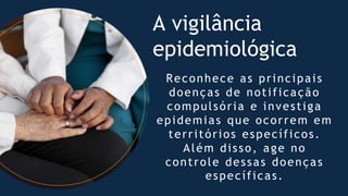A vigilância
epidemiológica
Reconhece as principais
doenças de notificação
compulsória e investiga
epidemias que ocorrem em
territórios específicos.
Além disso, age no
controle dessas doenças
específicas.
 