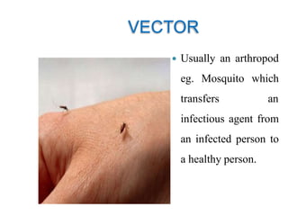 Epidemiology Introduction | PPTX