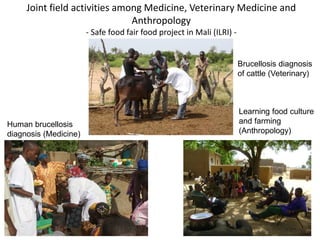 Epidemiology for strategic control of neglected zoonoses