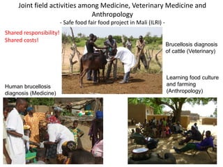 Epidemiology for strategic control of neglected zoonoses