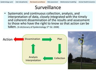Epidemiology for strategic control of neglected zoonoses