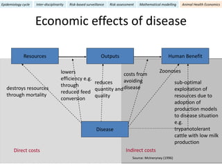 Epidemiology for strategic control of neglected zoonoses