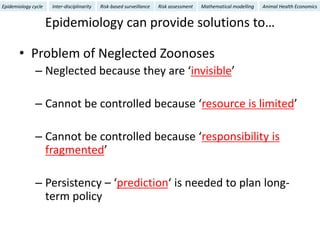 Epidemiology for strategic control of neglected zoonoses
