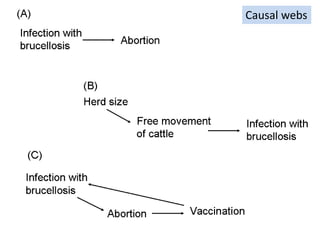 Epidemiology for strategic control of neglected zoonoses