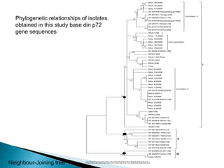Epidemiology of African swine fever virus in southern Africa
