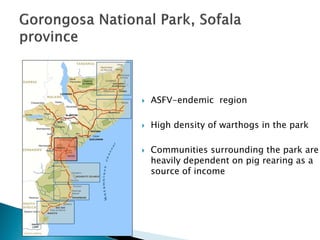 Epidemiology of African swine fever virus in southern Africa