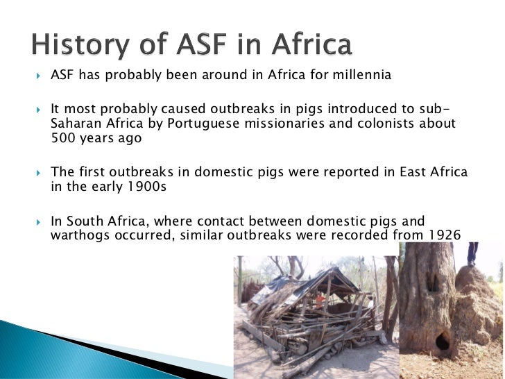 Epidemiology Of African Swine Fever Virus In Southern Africa