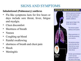 Epidemiology of ANTHRAX.pptx....................... | PPTX