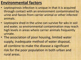 Epidemiology of bacterial zoonotic diseases with their prevention and control