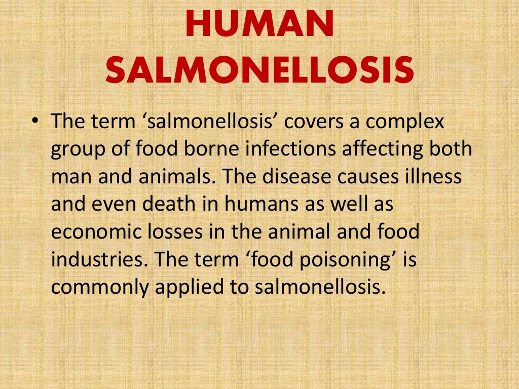 Epidemiology of bacterial zoonotic diseases with their prevention and…