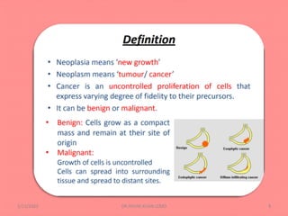 Epidemiology and Prevention of cancer | PDF