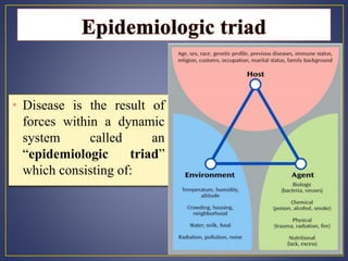 Epidemiological triad of vector?borne diseases.