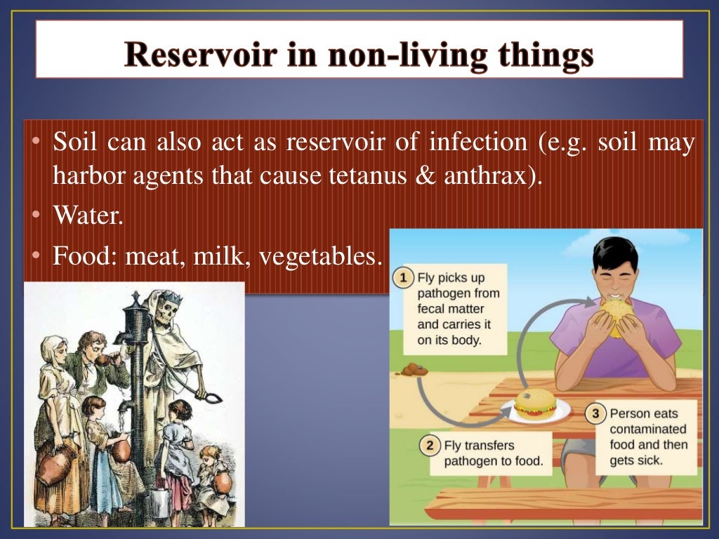 Epidemiology of communicable diseases