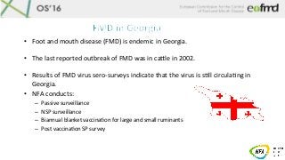 •  Foot	and	mouth	disease	(FMD)	is	endemic	in	Georgia.	
•  The	last	reported	outbreak	of	FMD	was	in	caJle	in	2002.	
	
•  R...