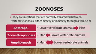 EPIDEMIOLOGY OF INFECTIOUS DISEASE.pptx
