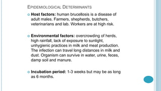 Epidemiology of kfd, brucellosis and leptospirosis | PPTX