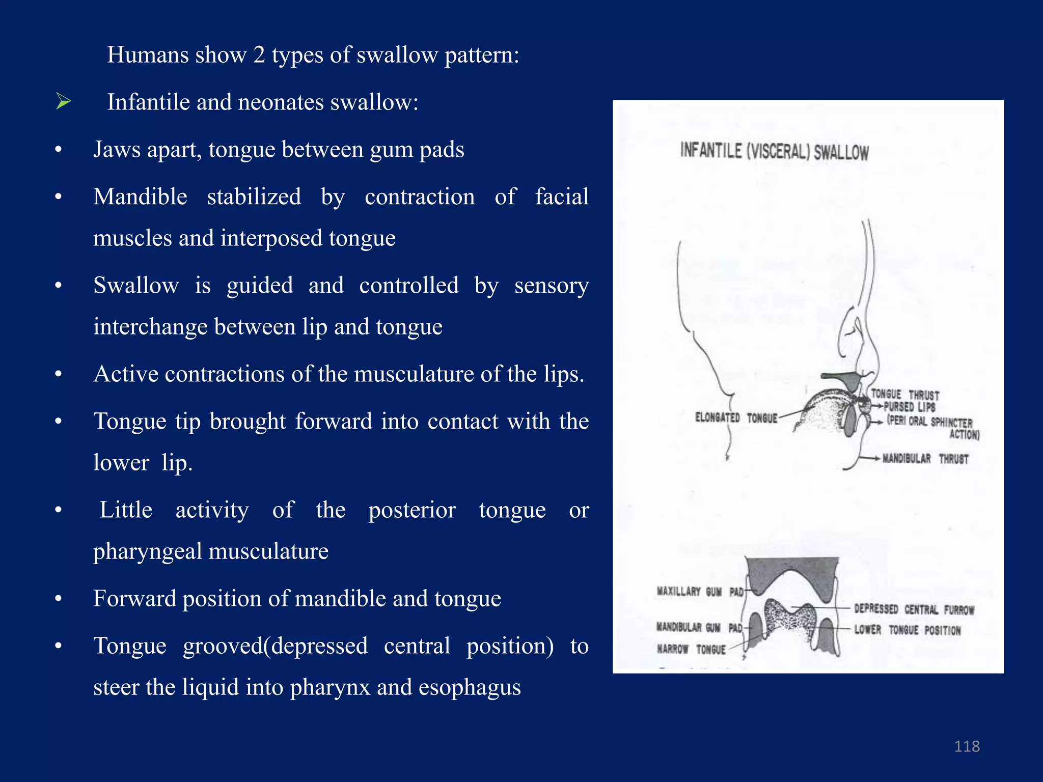 Humans show 2 types of swallow pattern:
 Infantile and neonates swallow:
• Jaws apart, tongue between gum pads
• Mandible stabilized by contraction of facial
muscles and interposed tongue
• Swallow is guided and controlled by sensory
interchange between lip and tongue
• Active contractions of the musculature of the lips.
• Tongue tip brought forward into contact with the
lower lip.
• Little activity of the posterior tongue or
pharyngeal musculature
• Forward position of mandible and tongue
• Tongue grooved(depressed central position) to
steer the liquid into pharynx and esophagus
118
 