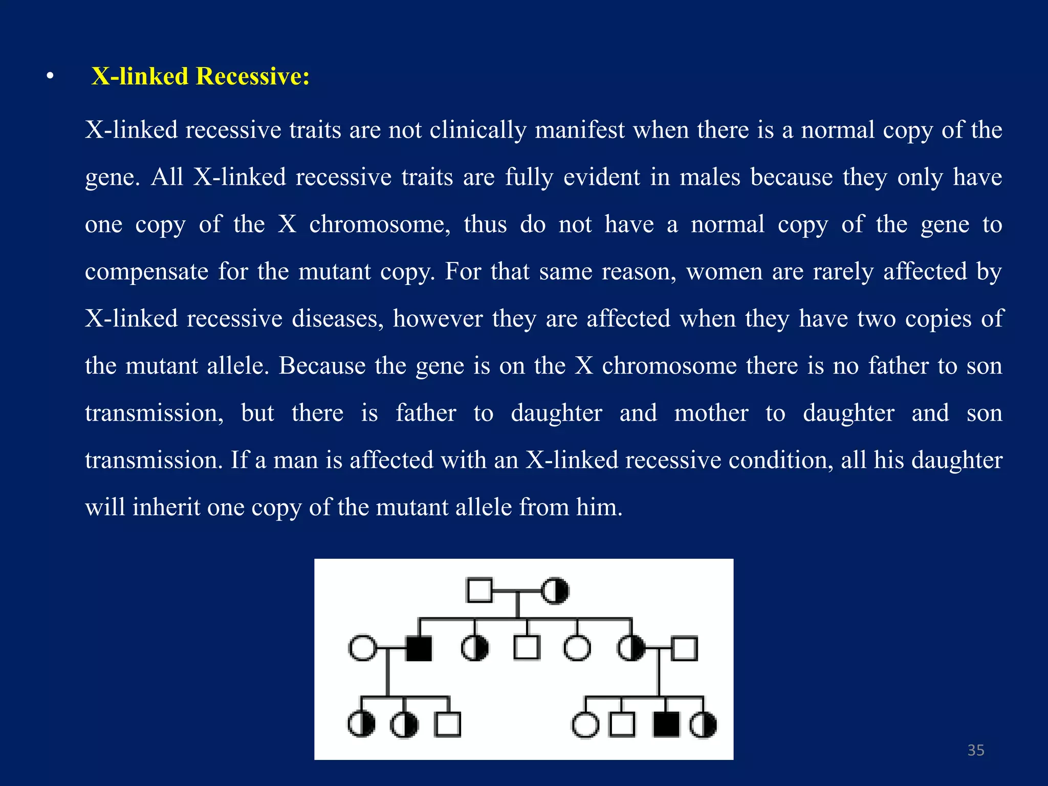 • X-linked Recessive:
X-linked recessive traits are not clinically manifest when there is a normal copy of the
gene. All X-linked recessive traits are fully evident in males because they only have
one copy of the X chromosome, thus do not have a normal copy of the gene to
compensate for the mutant copy. For that same reason, women are rarely affected by
X-linked recessive diseases, however they are affected when they have two copies of
the mutant allele. Because the gene is on the X chromosome there is no father to son
transmission, but there is father to daughter and mother to daughter and son
transmission. If a man is affected with an X-linked recessive condition, all his daughter
will inherit one copy of the mutant allele from him.
35
 