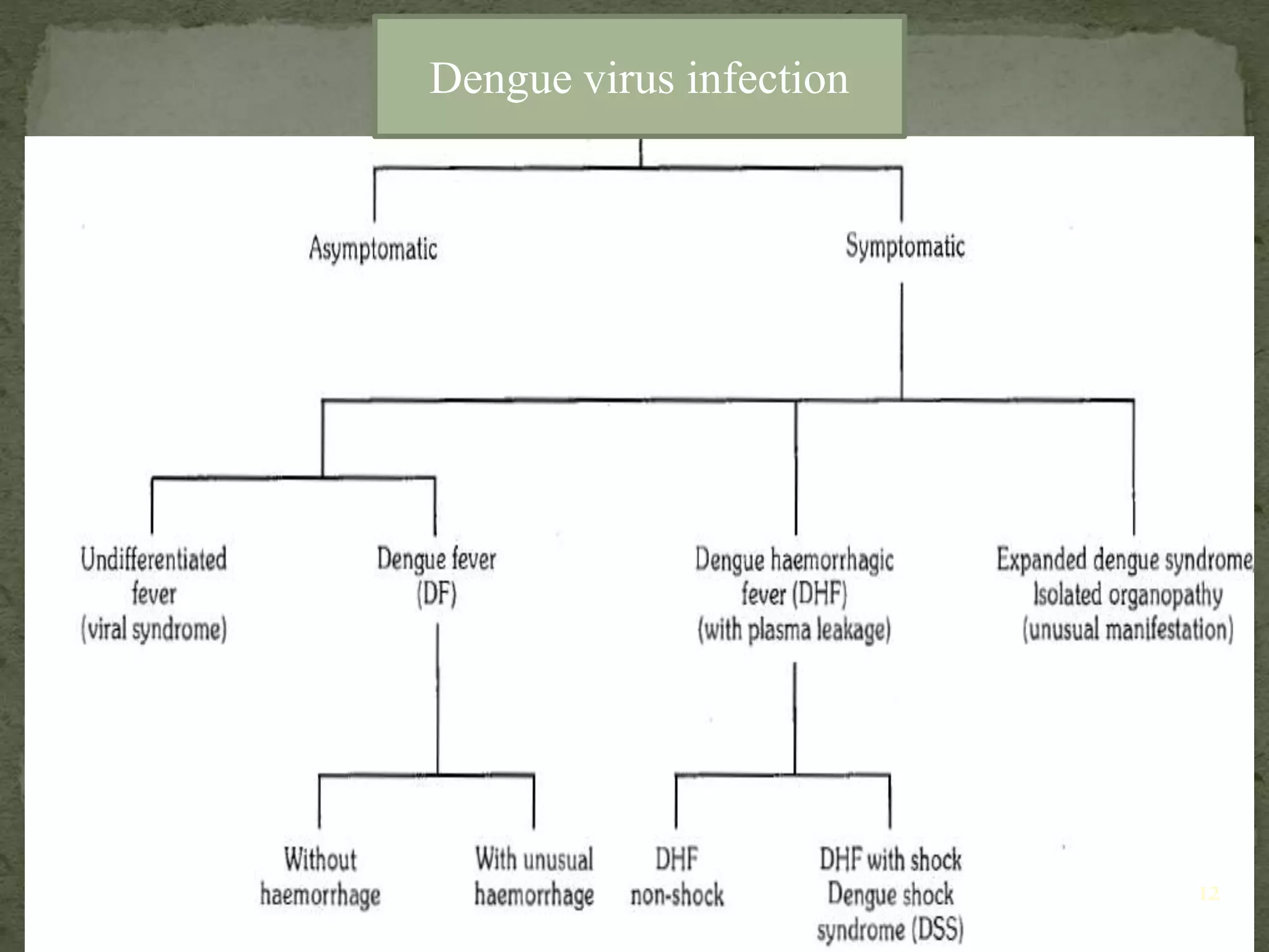 Epidemiology &prevention of dengue | PPTX