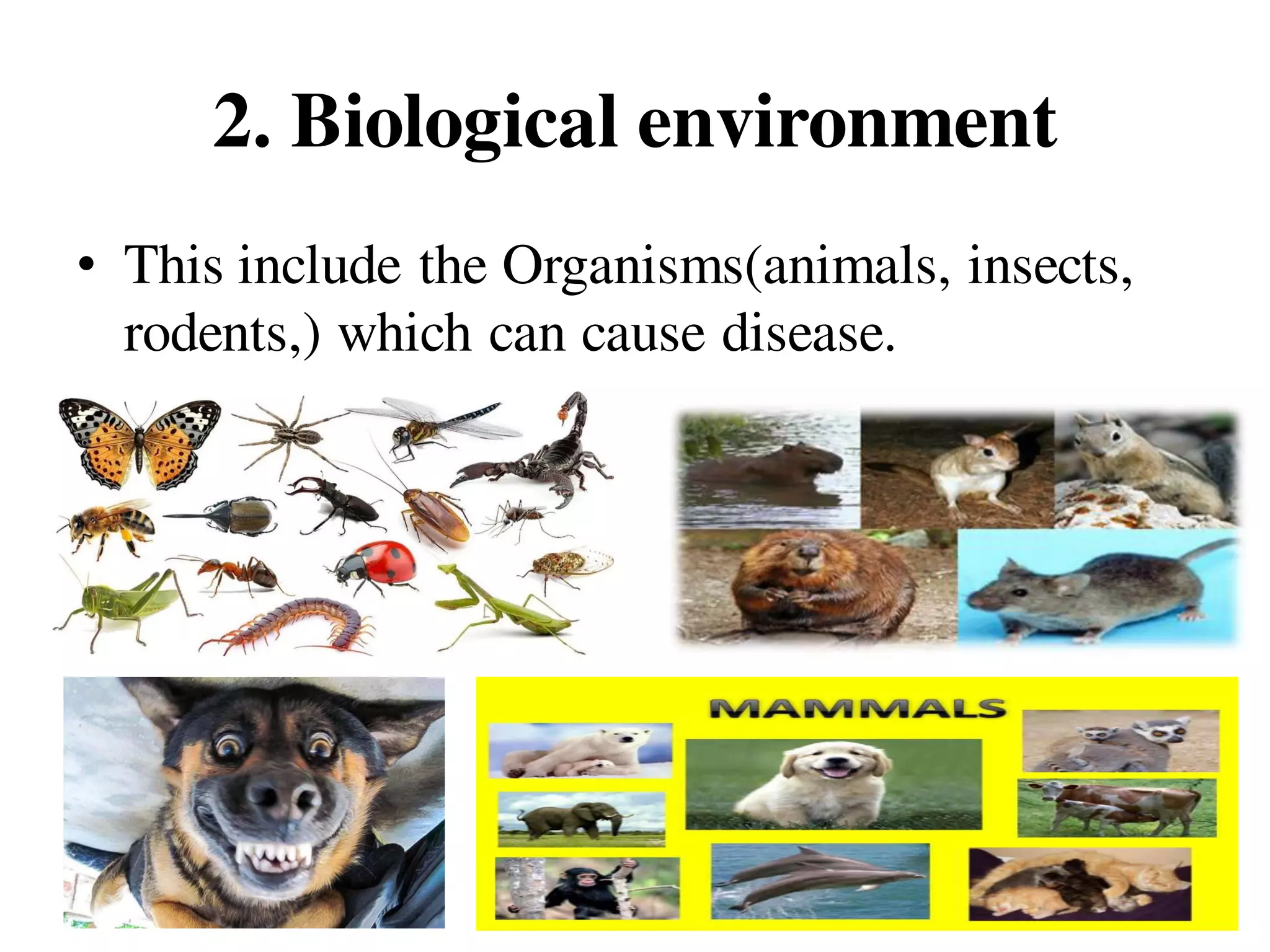 2. Biological environment
• This include the Organisms(animals, insects,
rodents,) which can cause disease.
 