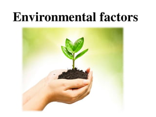 Environmental factors
 