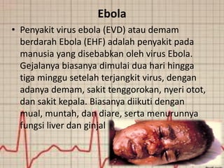 Ebola
• Penyakit virus ebola (EVD) atau demam
berdarah Ebola (EHF) adalah penyakit pada
manusia yang disebabkan oleh virus Ebola.
Gejalanya biasanya dimulai dua hari hingga
tiga minggu setelah terjangkit virus, dengan
adanya demam, sakit tenggorokan, nyeri otot,
dan sakit kepala. Biasanya diikuti dengan
mual, muntah, dan diare, serta menurunnya
fungsi liver dan ginjal
 