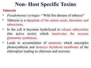 Tabtoxin Structure Epidemiology and Defence Mechanisms Genetic notes | PPT