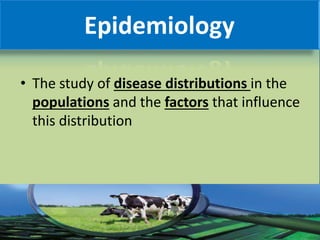 Epidemiological Studies | PDF