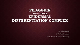 FILAGGRIN
AND OTHER
EPIDERMAL
DIFFERENTIATION COMPLEX
Dr. Srinivasan. G
1st Yr. Post Graduate,
Dept. of Dermato Venereo Leprology
 