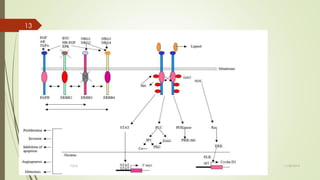 Epidermal growth factor and its receptor tyrosine kinase | PPTX