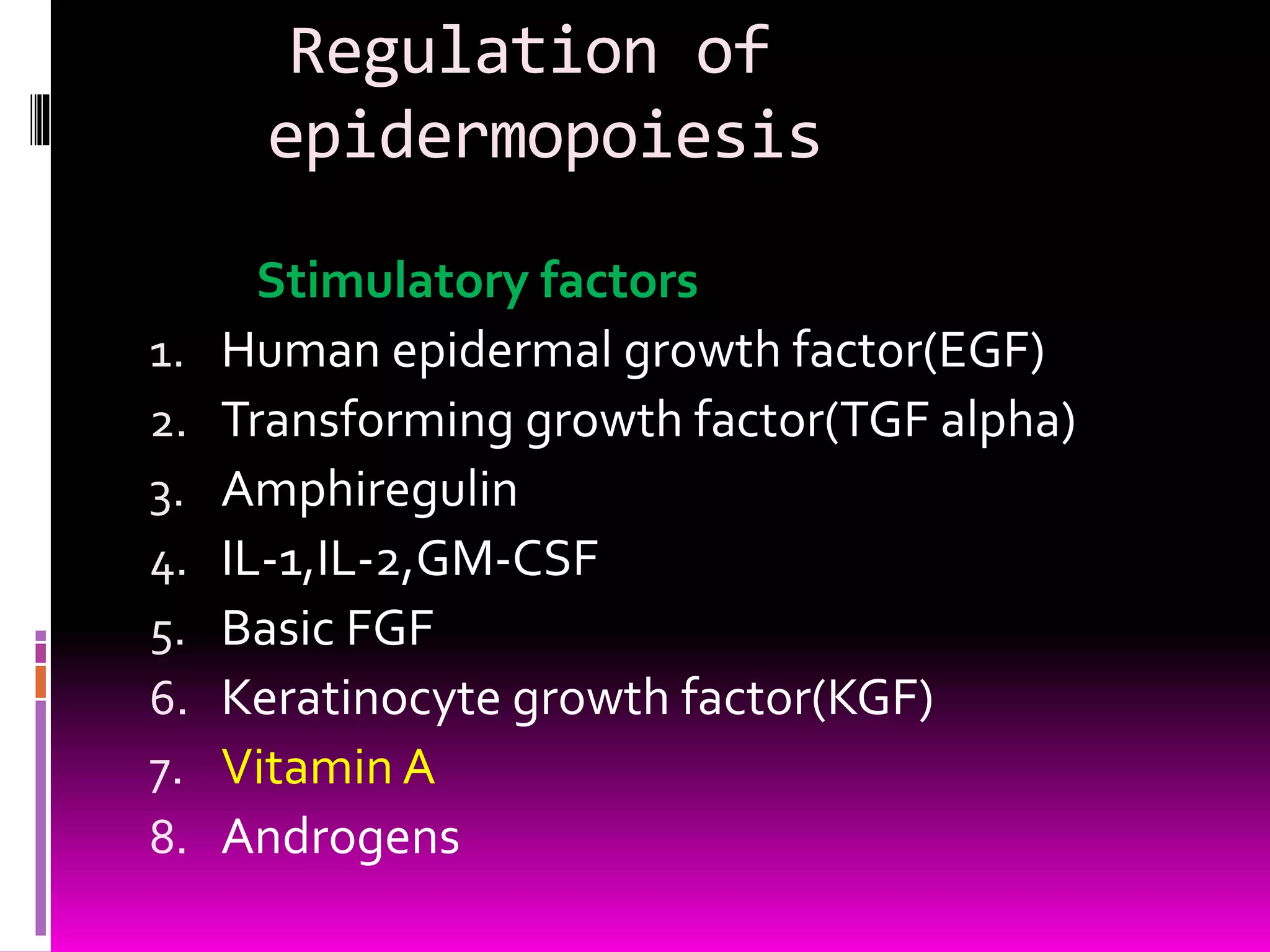 Regulation of
epidermopoiesis
Stimulatory factors
1. Human epidermal growth factor(EGF)
2. Transforming growth factor(TGF alpha)
3. Amphiregulin
4. IL-1,IL-2,GM-CSF
5. Basic FGF
6. Keratinocyte growth factor(KGF)
7. Vitamin A
8. Androgens
 