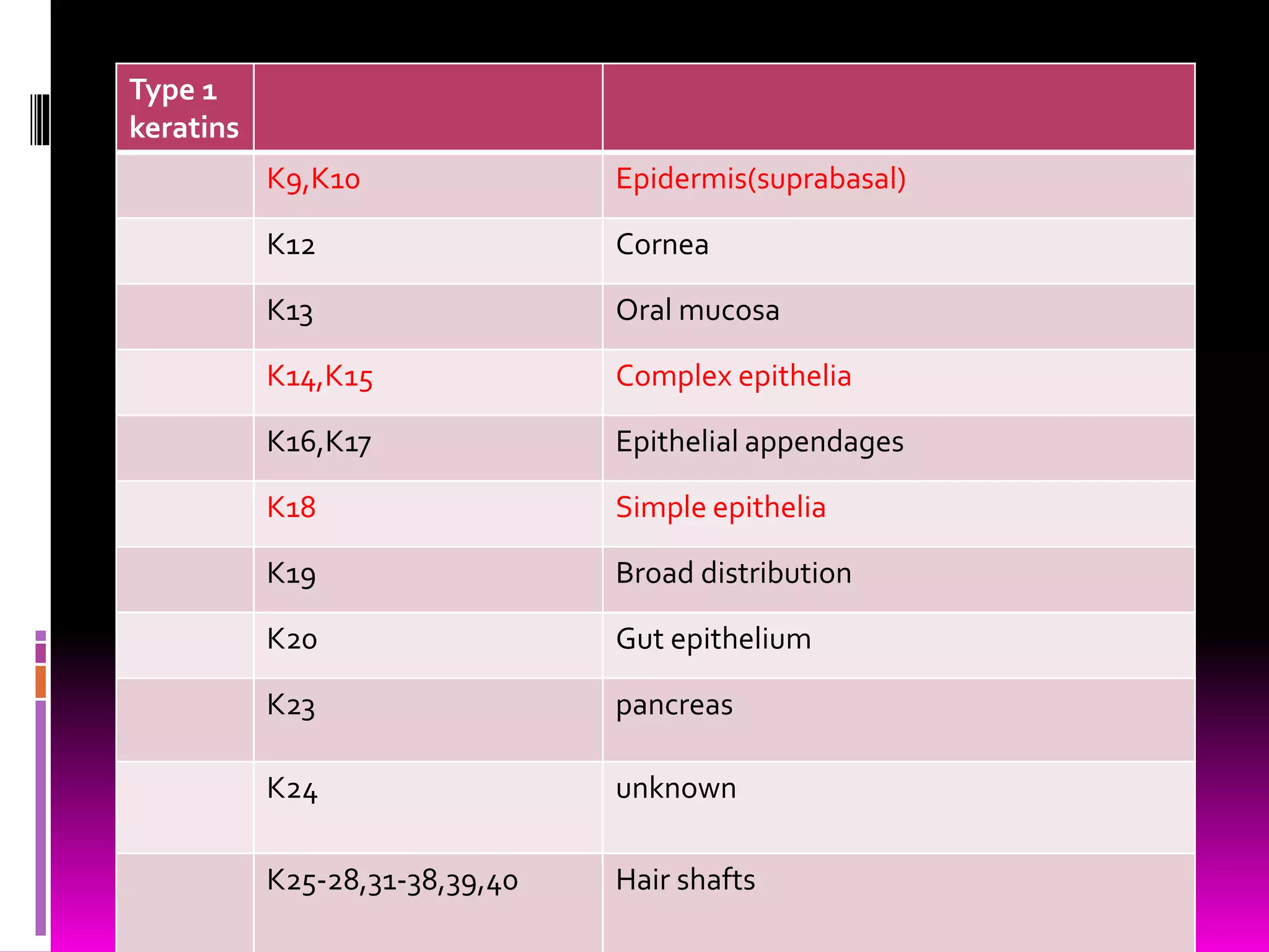 Type 1
keratins
K9,K10 Epidermis(suprabasal)
K12 Cornea
K13 Oral mucosa
K14,K15 Complex epithelia
K16,K17 Epithelial appendages
K18 Simple epithelia
K19 Broad distribution
K20 Gut epithelium
K23 pancreas
K24 unknown
K25-28,31-38,39,40 Hair shafts
 