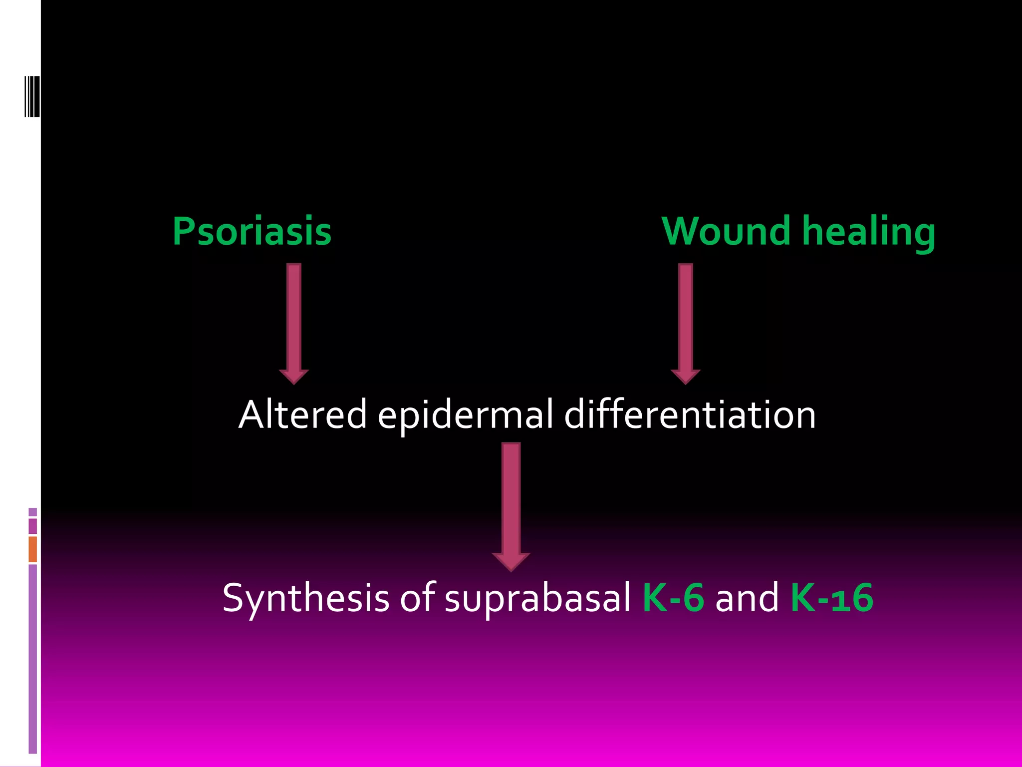Psoriasis Wound healing
Altered epidermal differentiation
Synthesis of suprabasal K-6 and K-16
 