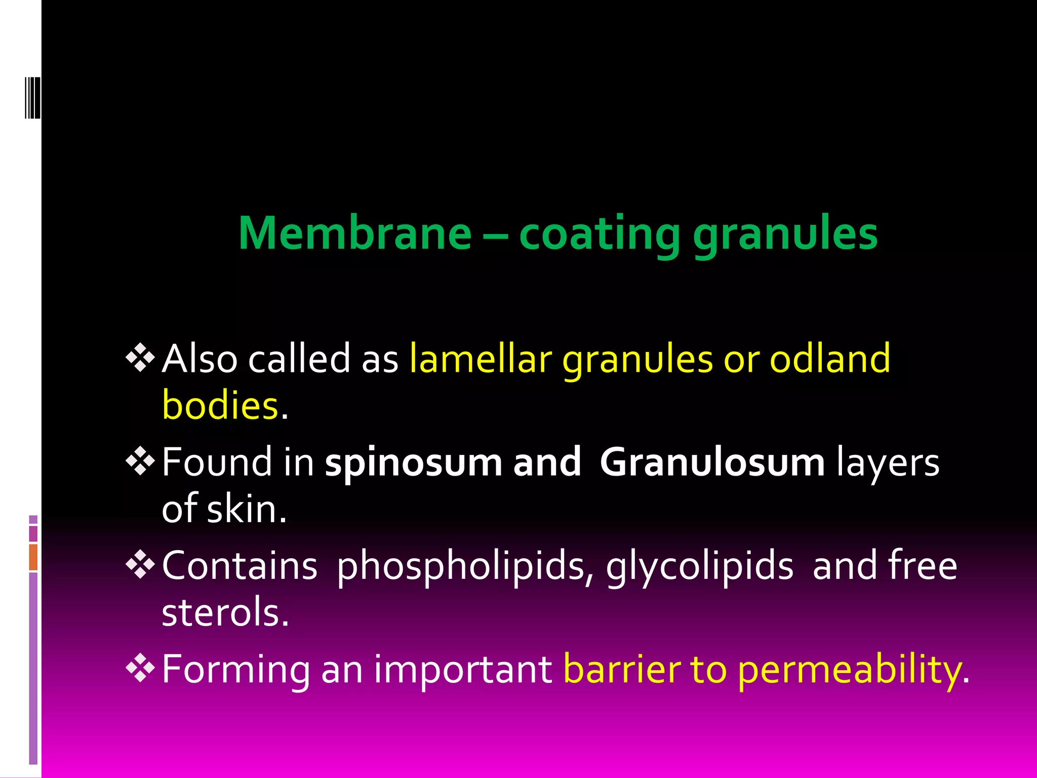 Membrane – coating granules
Also called as lamellar granules or odland
bodies.
Found in spinosum and Granulosum layers
of skin.
Contains phospholipids, glycolipids and free
sterols.
Forming an important barrier to permeability.
 