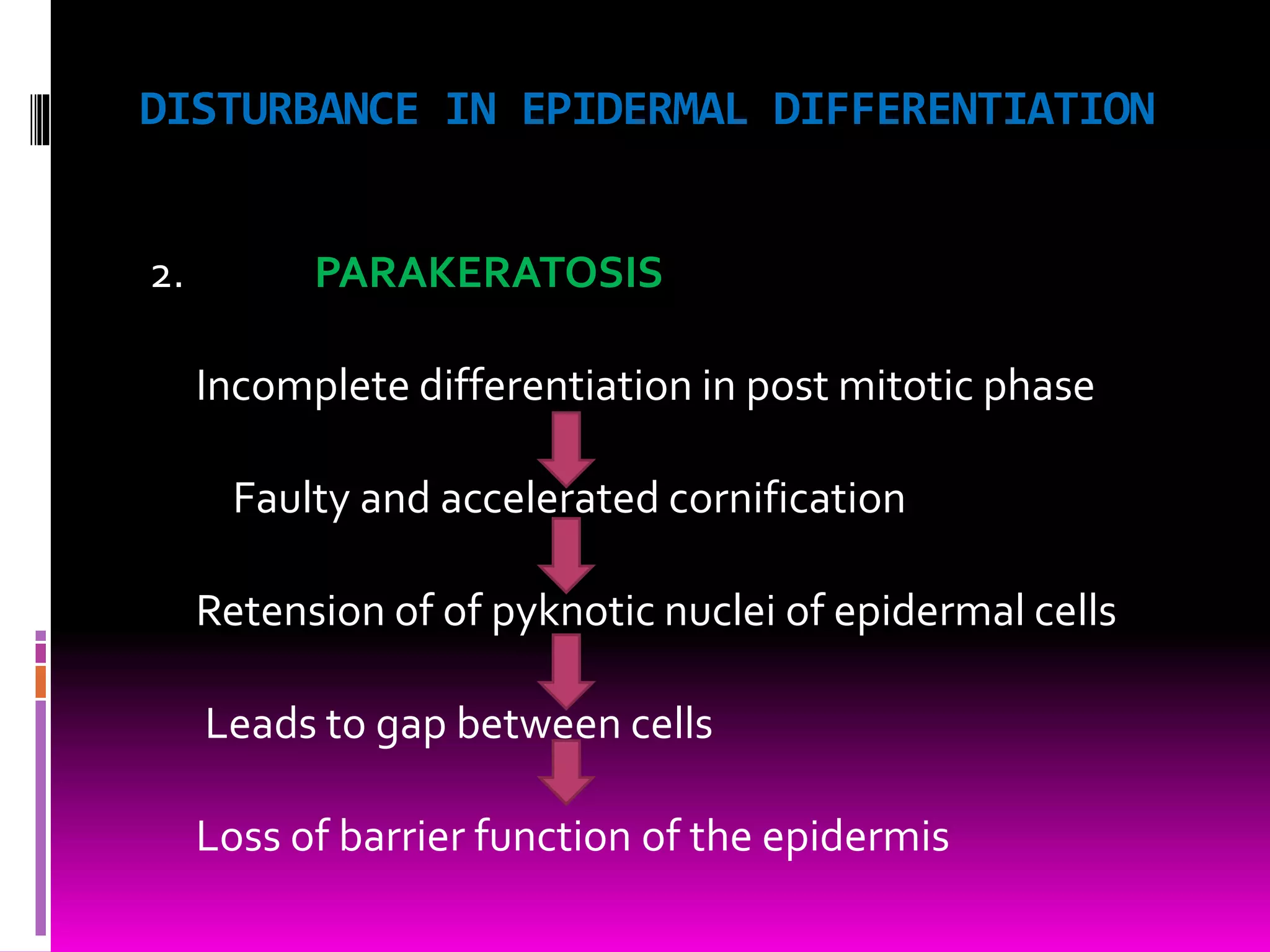 DISTURBANCE IN EPIDERMAL DIFFERENTIATION
2. PARAKERATOSIS
Incomplete differentiation in post mitotic phase
Faulty and accelerated cornification
Retension of of pyknotic nuclei of epidermal cells
Leads to gap between cells
Loss of barrier function of the epidermis
 