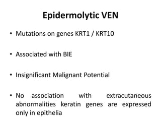 Epidermolytic VEN
• Mutations on genes KRT1 / KRT10
• Associated with BIE
• Insignificant Malignant Potential
• No association with extracutaneous
abnormalities keratin genes are expressed
only in epithelia
 