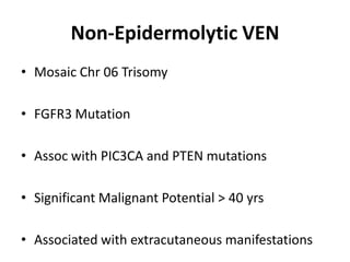 Non-Epidermolytic VEN
• Mosaic Chr 06 Trisomy
• FGFR3 Mutation
• Assoc with PIC3CA and PTEN mutations
• Significant Malignant Potential > 40 yrs
• Associated with extracutaneous manifestations
 