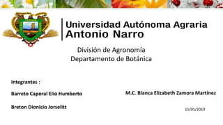 Integrantes :
Barreto Caporal Elio Humberto
Breton Dionicio Jorselitt
M.C. Blanca Elizabeth Zamora Martínez
15/05/2019
División de Agronomía
Departamento de Botánica
 