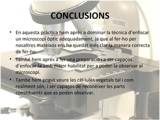 CONCLUSIONS
• En aquesta pràctica hem après a dominar la tècnica d’enfocar
  un microscopi òptic adequadament, ja que al fer-ho per
  nosaltres mateixos ens ha quedat més clar la manera correcta
  de fer-ho.
• També hem après a fer una preparació i a ser capaços
  d’enfocar-la amb major habilitat per a poder-la observar al
  microscopi.
• També hem pogut veure les cèl·lules vegetals tal i com
  realment són, i ser capaços de reconèixer les parts
  constituents que es poden observar.
 
