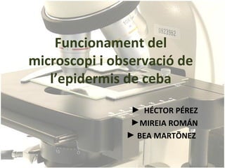 Funcionament del
microscopi i observació de
   l’epidermis de ceba
                ► HÉCTOR PÉREZ
                ►MIREIA ROMÁN
               ► BEA MARTÍNEZ
 