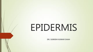 EPIDERMIS
DR. SUBODH KUMAR SHAH
 
