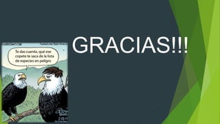 GRACIAS!!!
 